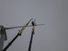 Montage_Windkraftanlage_Bischdorf_C.jpg